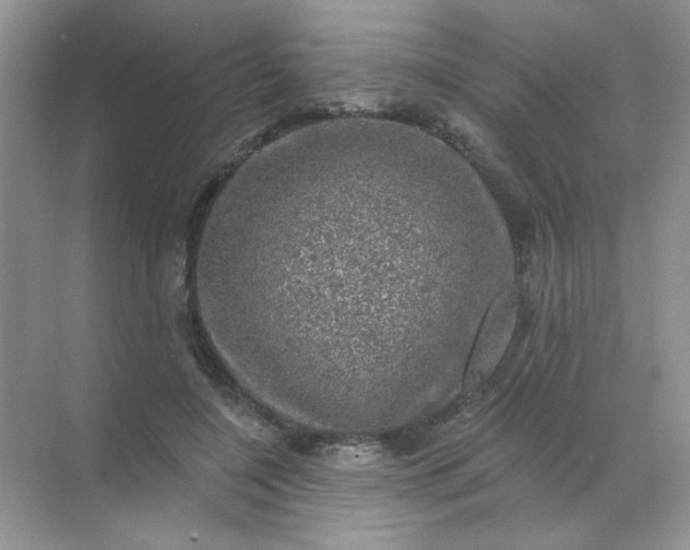 X0000068890548200605192138