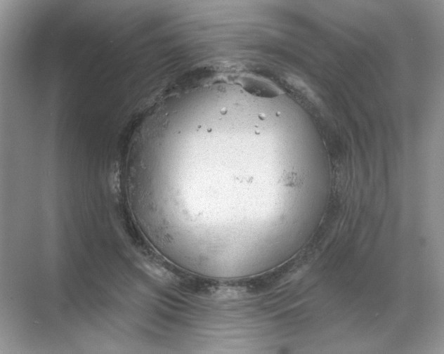 X0000068890549200605192138