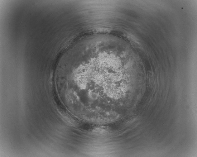 X0000068890550200605192138