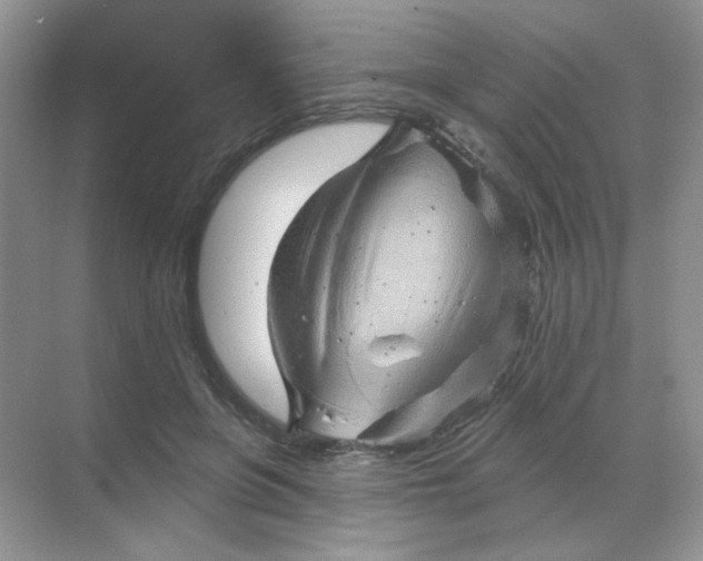 X0000068890551200605192138