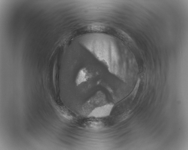 X0000068890552200605192138