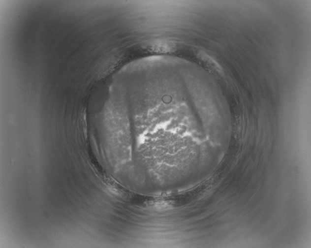 X0000068890553200605192138