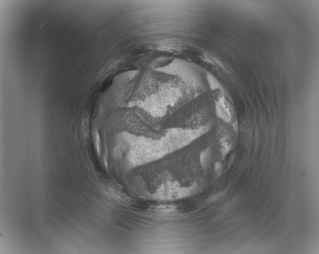 X0000068890554200605192138