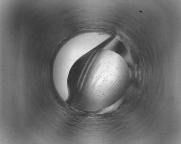 X0000068890556200605192138