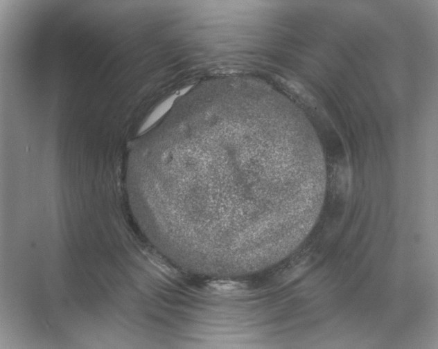 X0000068890557200605192138