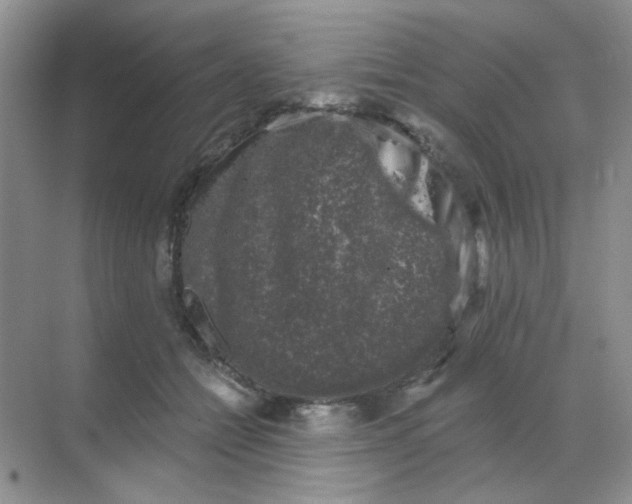 X0000068890558200605192138