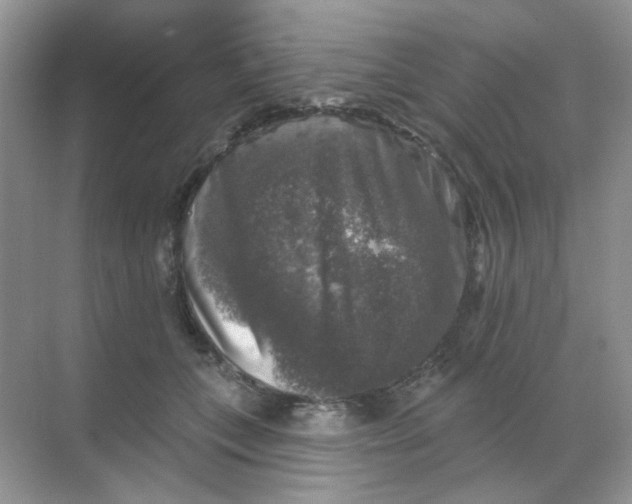 X0000068890559200605192138