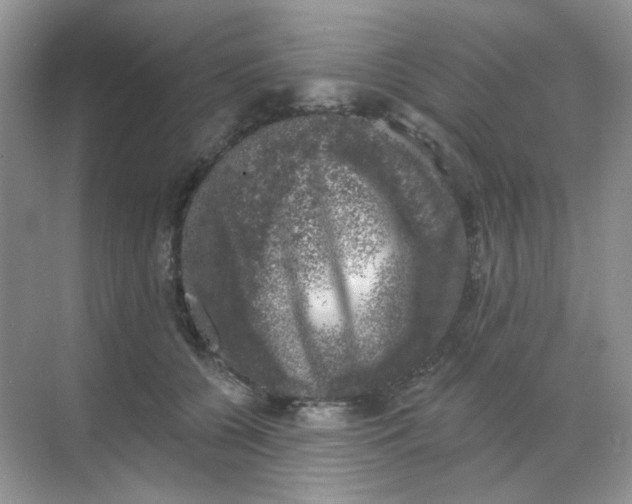 X0000068890560200605192138