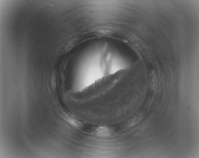 X0000068890562200605192138