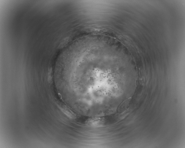 X0000068890563200605192138