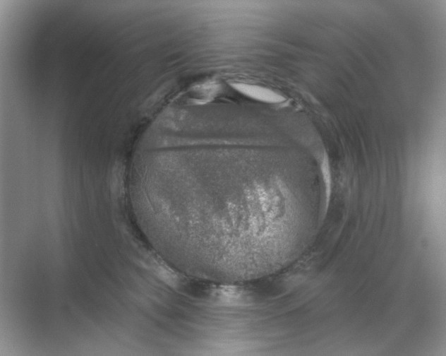 X0000068890565200605192138