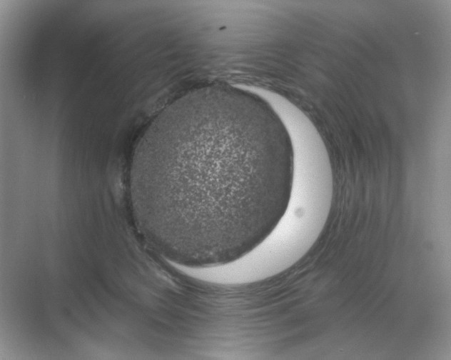 X0000068890566200605192138