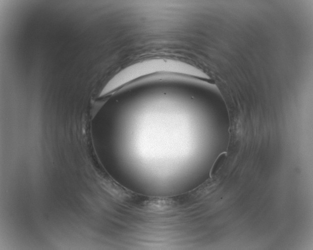 X0000068890567200605192138