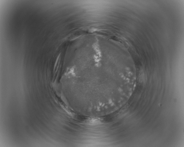 X0000068890569200605192138