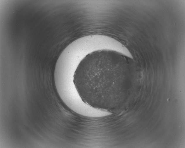 X0000068890570200605192138