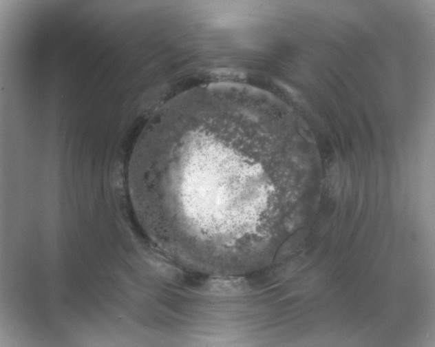 X0000068890571200605192138