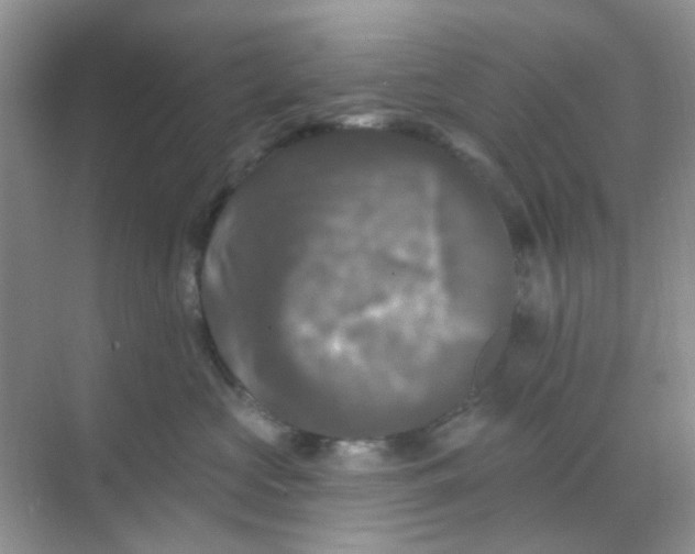 X0000068890573200605192138