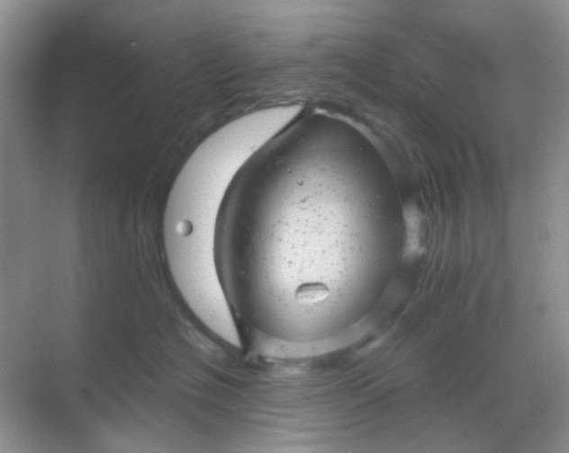 X0000068890574200605192138