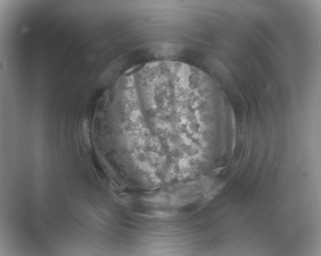 X0000068890575200605192138