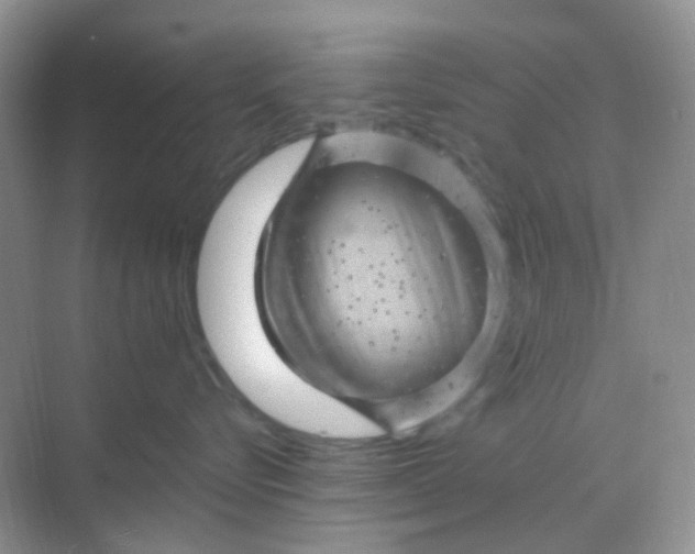 X0000068890576200605192138