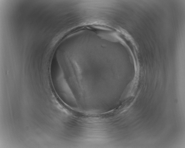 X0000068890577200605192137