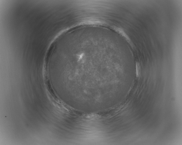 X0000068890579200605192137