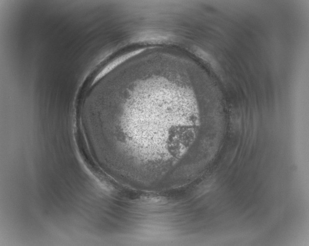 X0000068890582200605192137