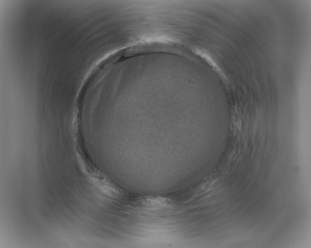 X0000068890583200605192137