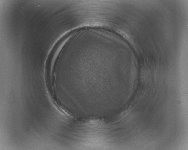 X0000068890584200605192137