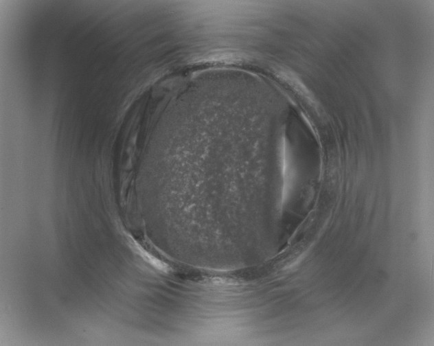 X0000068890585200605192137