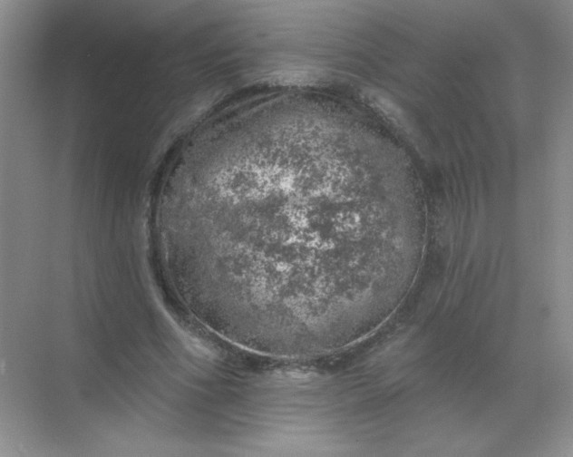 X0000068890586200605192137