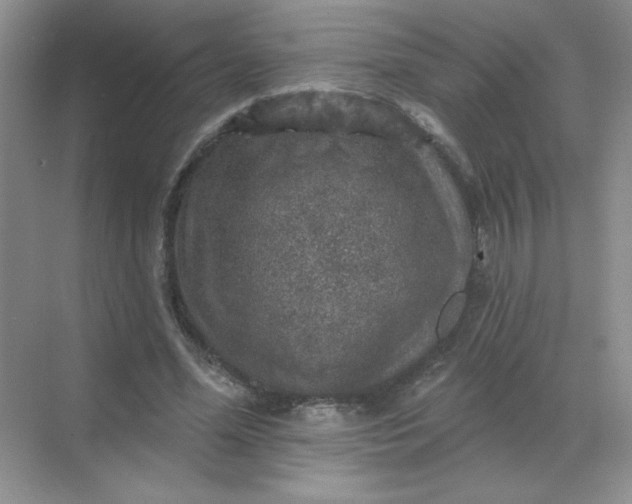 X0000068890588200605192137