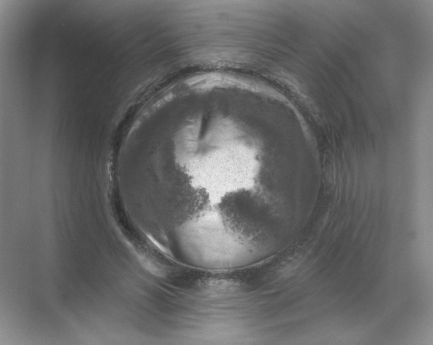 X0000068890590200605192137