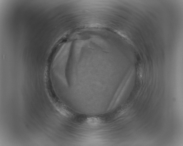 X0000068890591200605192137