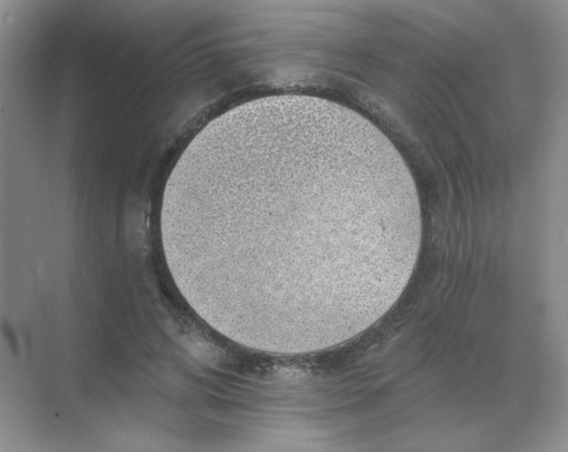 X0000068890592200605192137