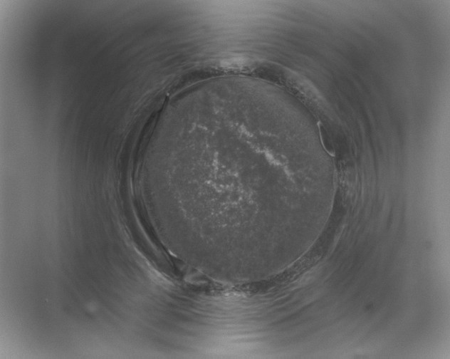 X0000068890593200605192137