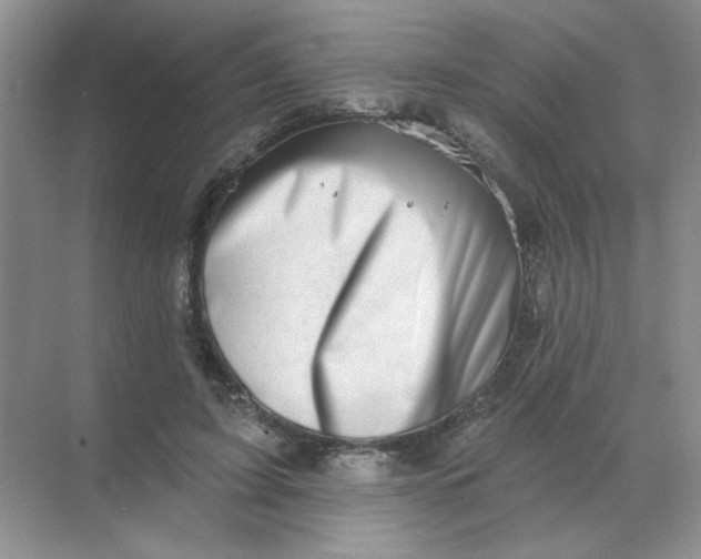 X0000068890595200605192137