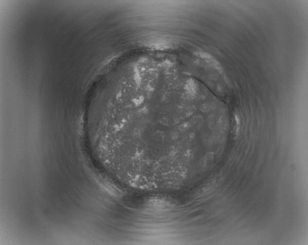 X0000068890596200605192137