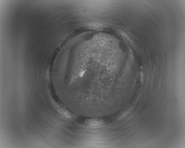 X0000068890597200605192137