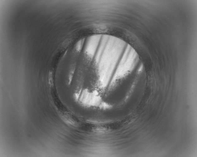 X0000068890598200605192137