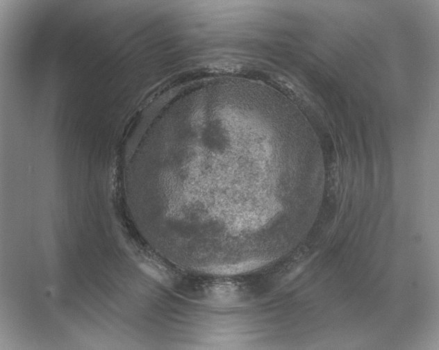 X0000068890600200605192137