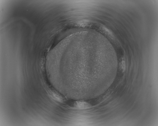 X0000068890605200605192137