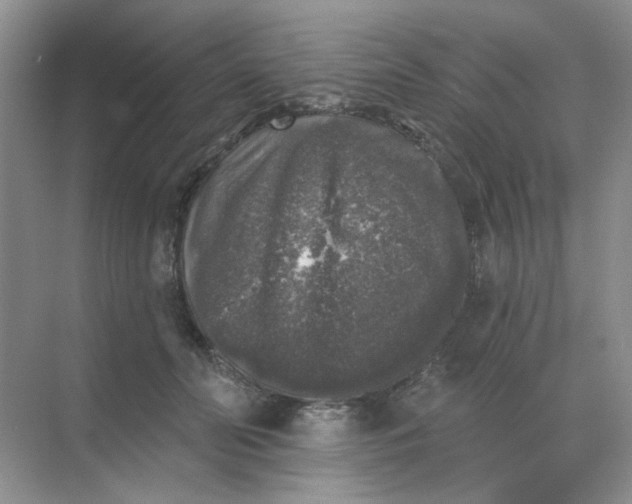 X0000068890606200605192137