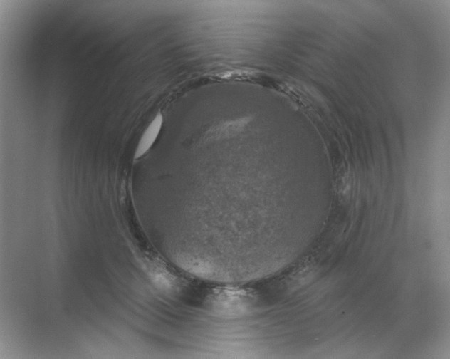 X0000068890607200605192137