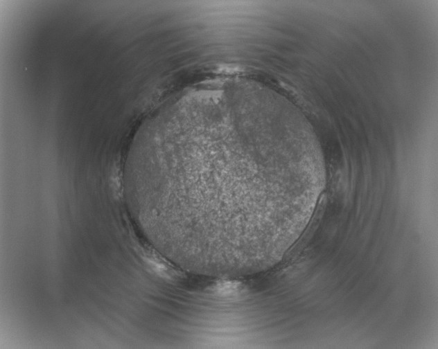 X0000068890609200605192137