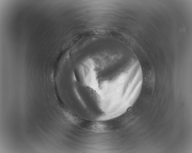 X0000068890610200605192137