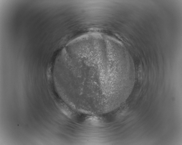 X0000068890611200605192137