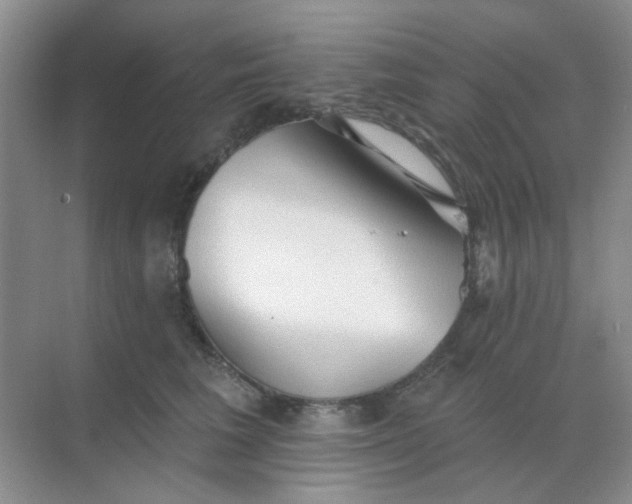 X0000068890613200605192137