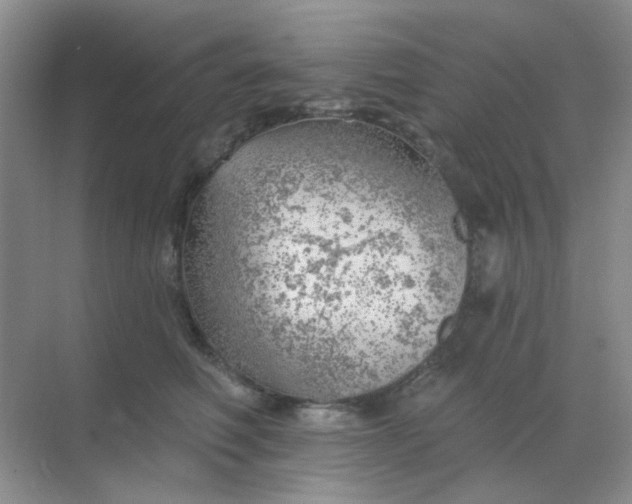 X0000068890614200605192137