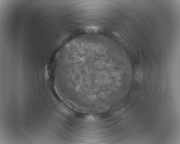 X0000068890616200605192137